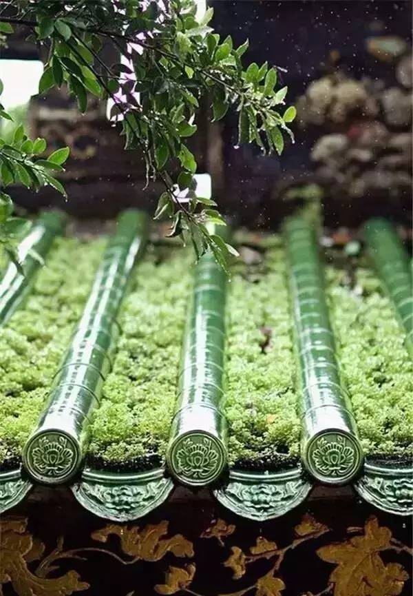 古建筑，一片瓦，遮風擋雨