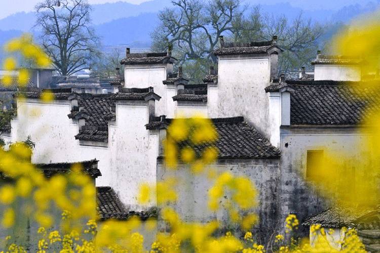 古建筑，一片瓦，遮風擋雨