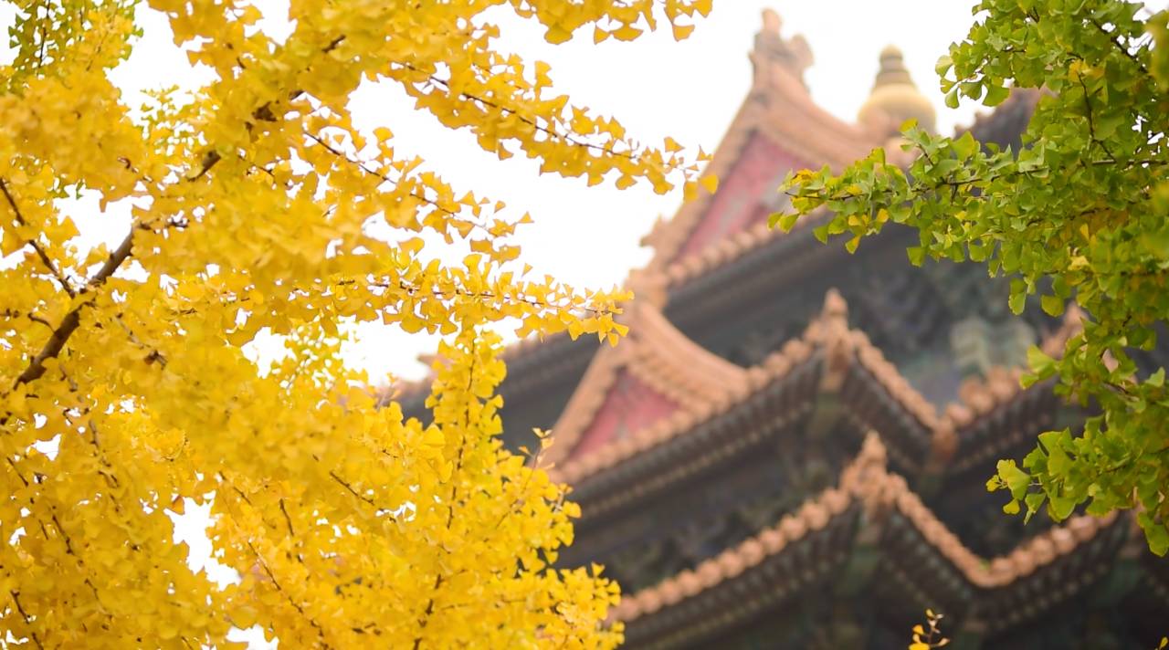 王室故居，坐擁古老神秘的王府豪宅看明清興衰