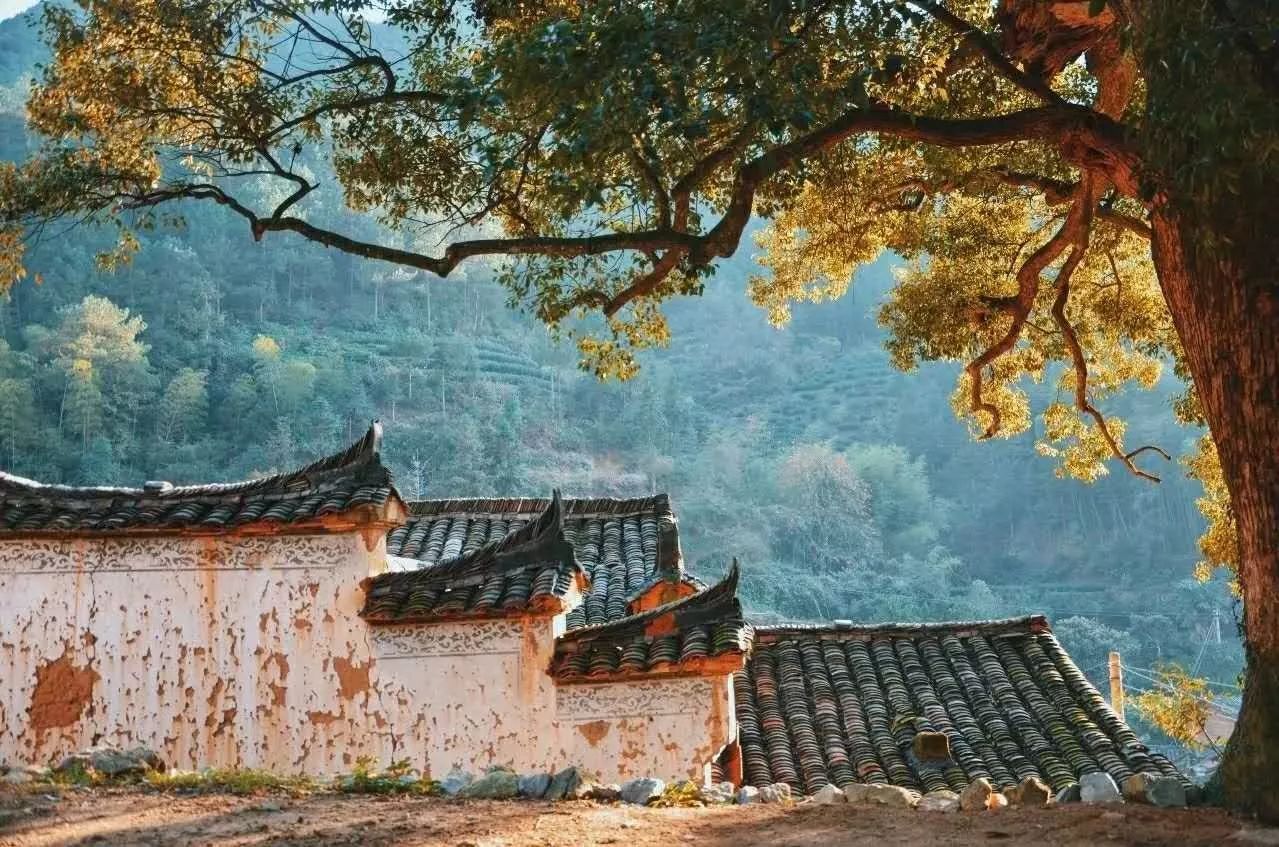 原舍·望山，享受最純粹的鄉(xiāng)村生活