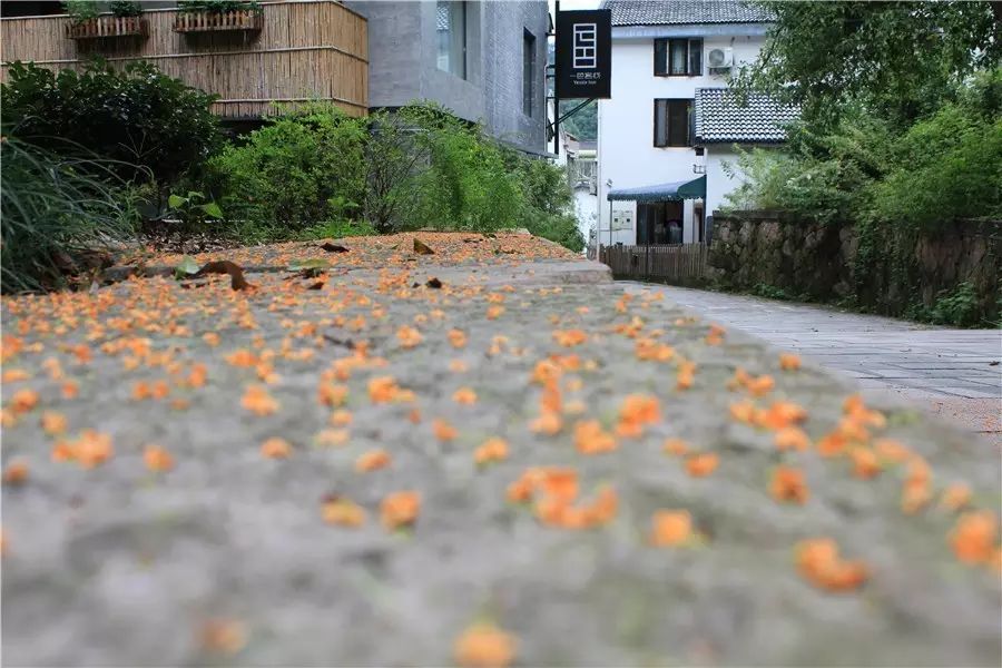 杭州·一色山墅，滿(mǎn)覺(jué)隴的月色喝茶散步都是雅事