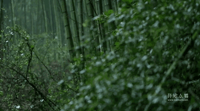 湖州嶺霧，在云霧之巔把自然搬進(jìn)屋內(nèi)