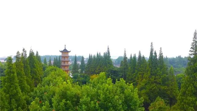 瓜洲云裳山村，春風(fēng)又綠江岸春