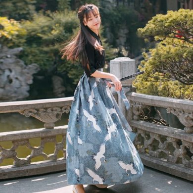 中國(guó)風(fēng)江南素兮漢服，復(fù)古套裙?jié)h服圖片