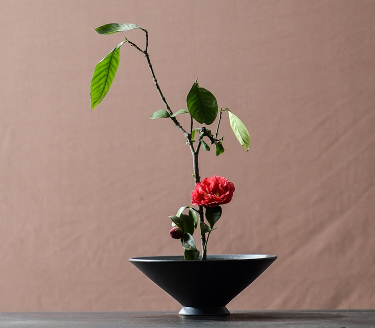 簡(jiǎn)約小原流花器插花藝術(shù)：三款禪意韻味插花