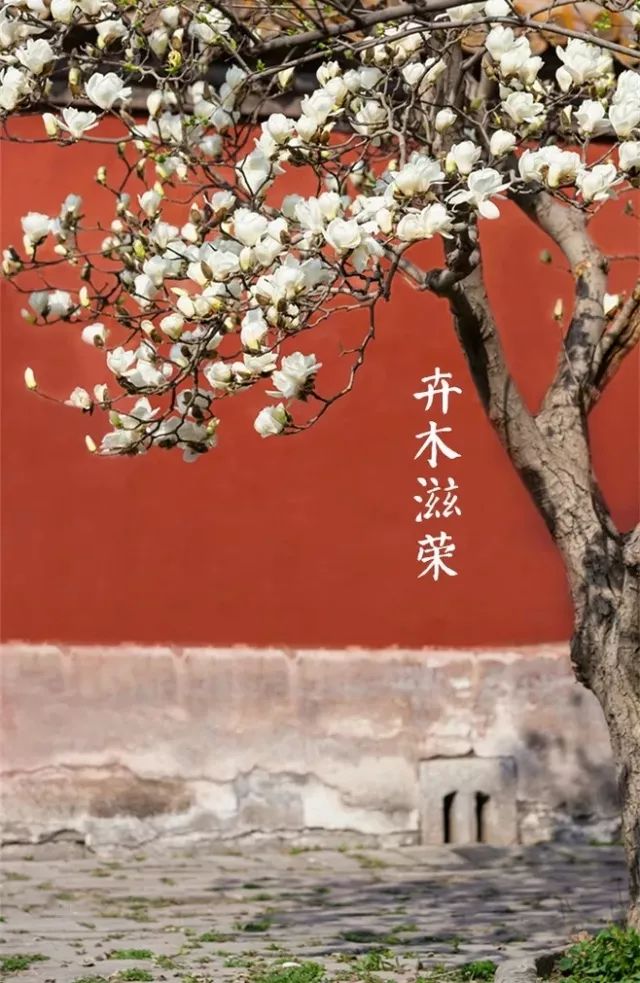 三月三中國(guó)傳統(tǒng)文化，上巳節(jié)重拾古人風(fēng)雅！
