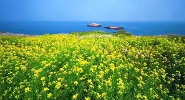 風(fēng)景游玩攻略：11個絕美海島路線約嗎？