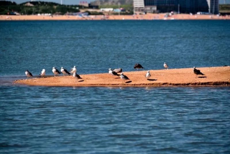 風(fēng)景游玩攻略：11個絕美海島路線約嗎？