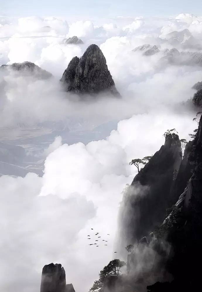 大美黃山：40幅黃山風(fēng)景攝影！