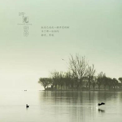 風(fēng)景攝影作品時光靜好：邛海景色！