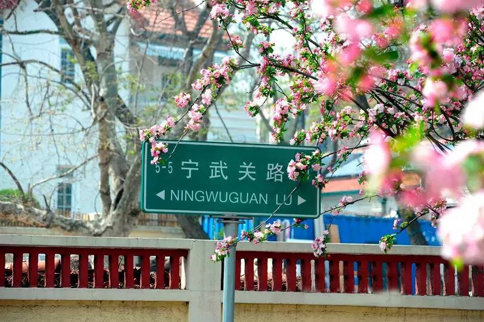 清明小長假，去這9個(gè)絕美的地方踏青