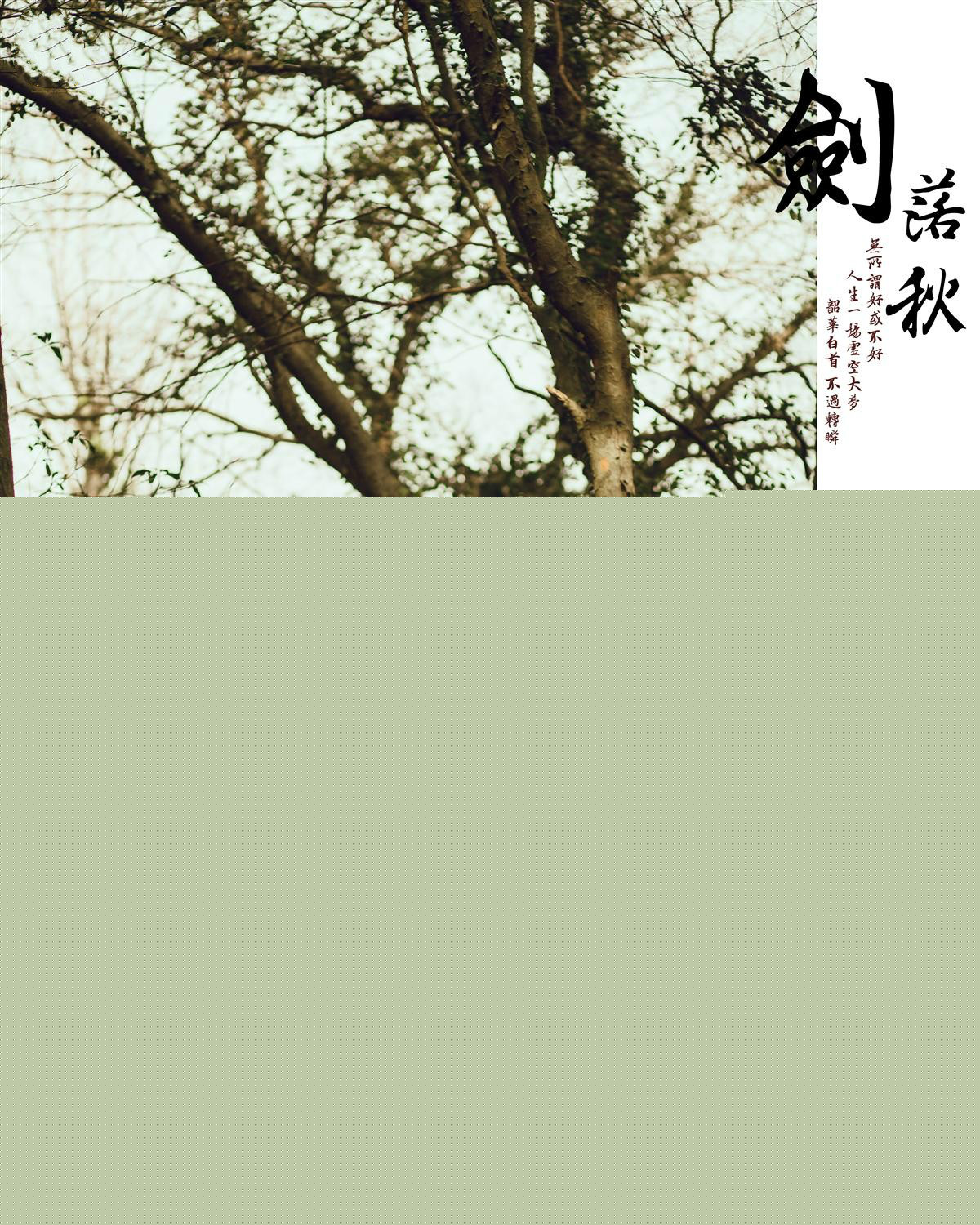 劍落秋-古裝攝影：韶華白首，不過(guò)浮生一闕