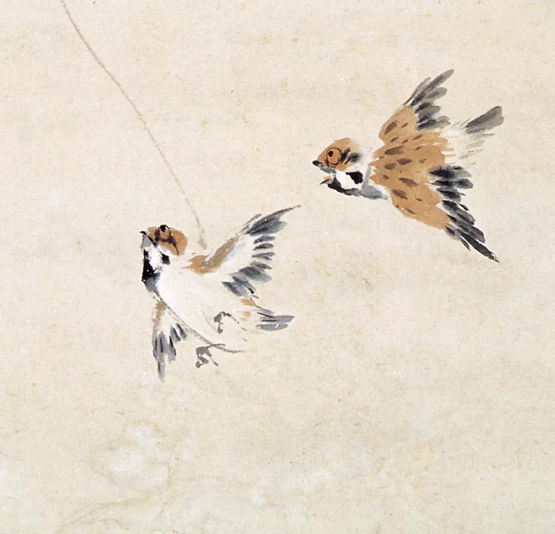 100幅禽鳥百圖，國畫鳥類美醉了！