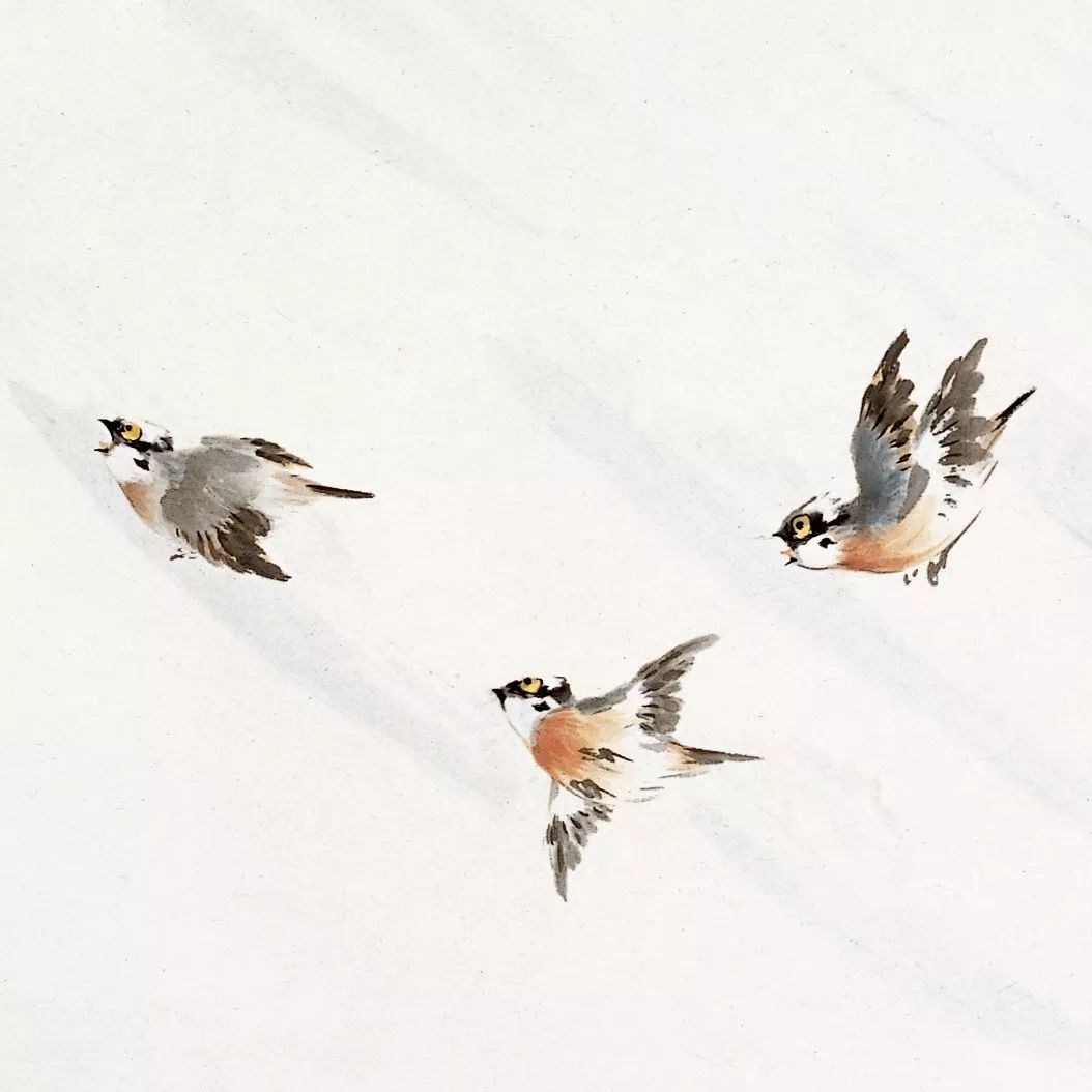 100幅禽鳥百圖，國畫鳥類美醉了！