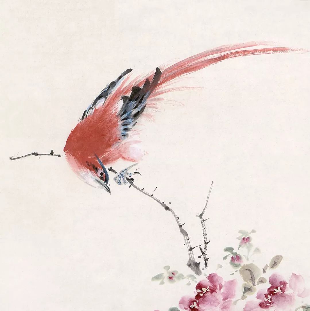 100幅禽鳥百圖，國畫鳥類美醉了！