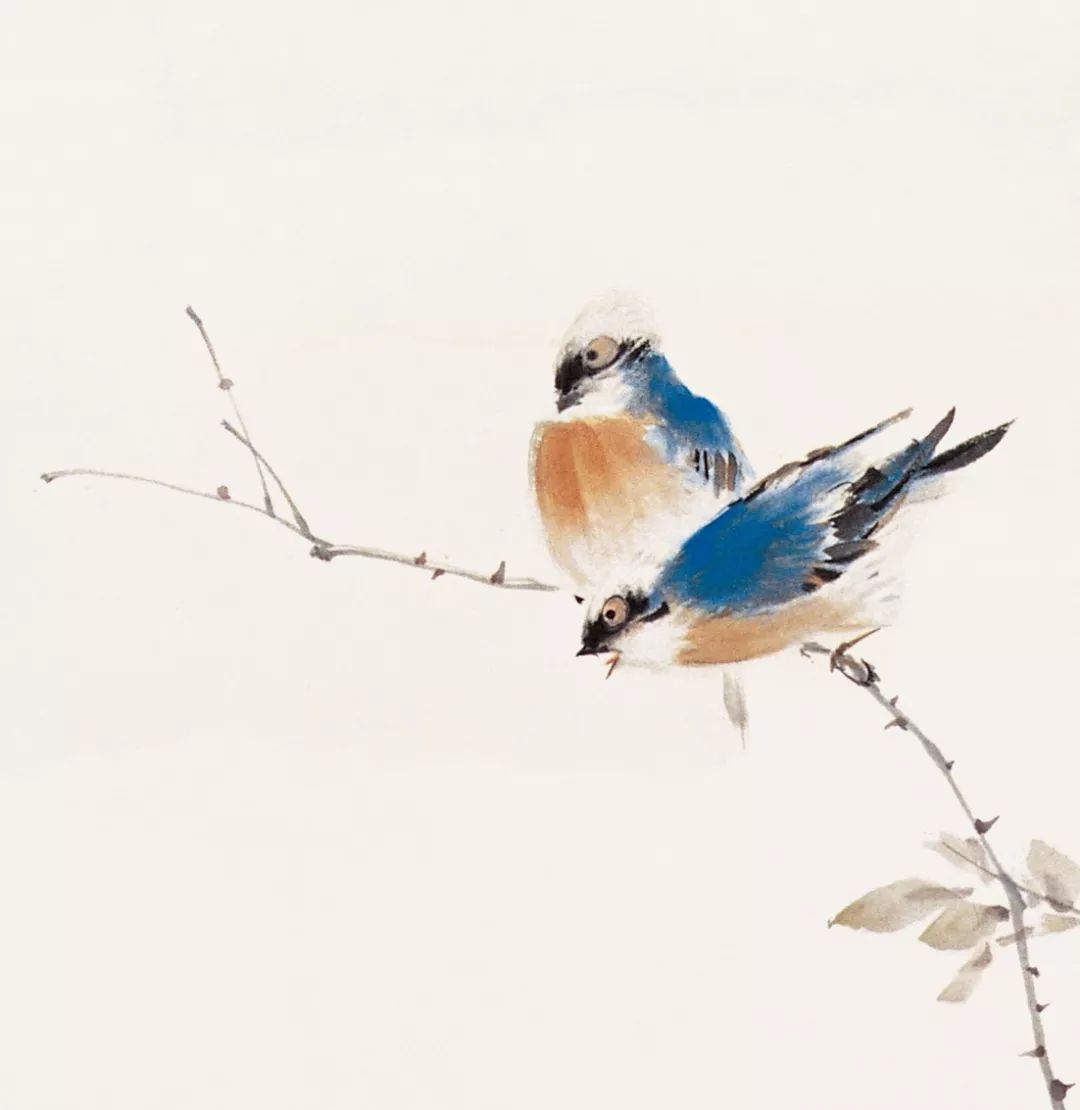 100幅禽鳥百圖，國畫鳥類美醉了！