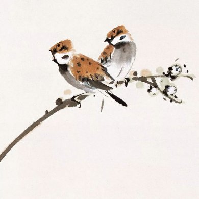 100幅禽鳥百圖，國畫鳥類美醉了！