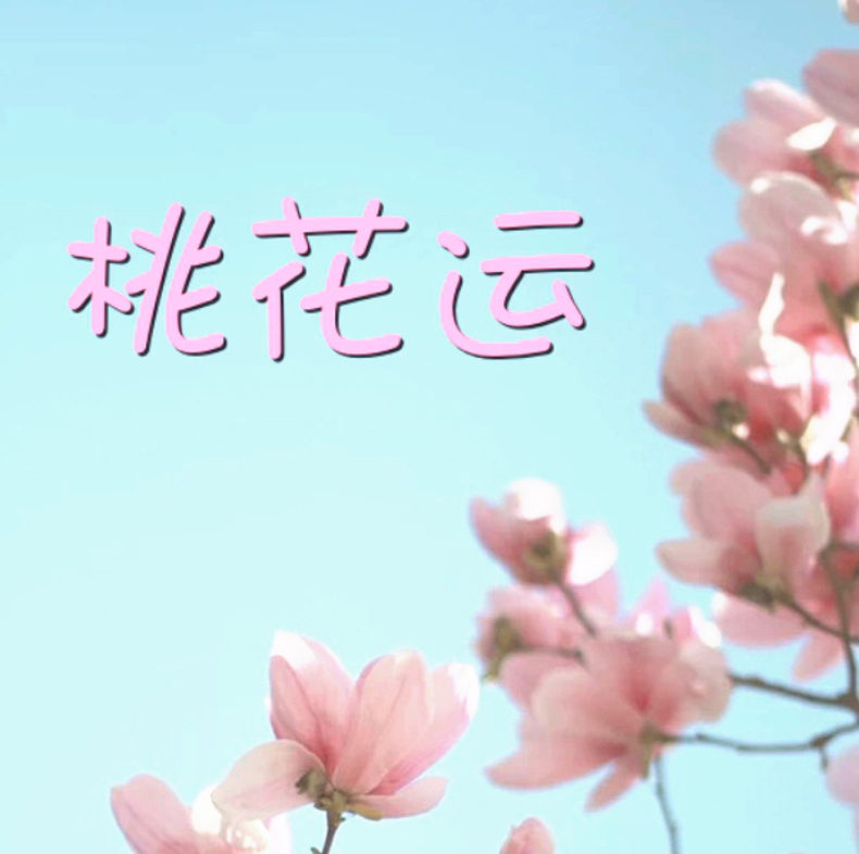 掌握這些風水學，提升你的桃花運