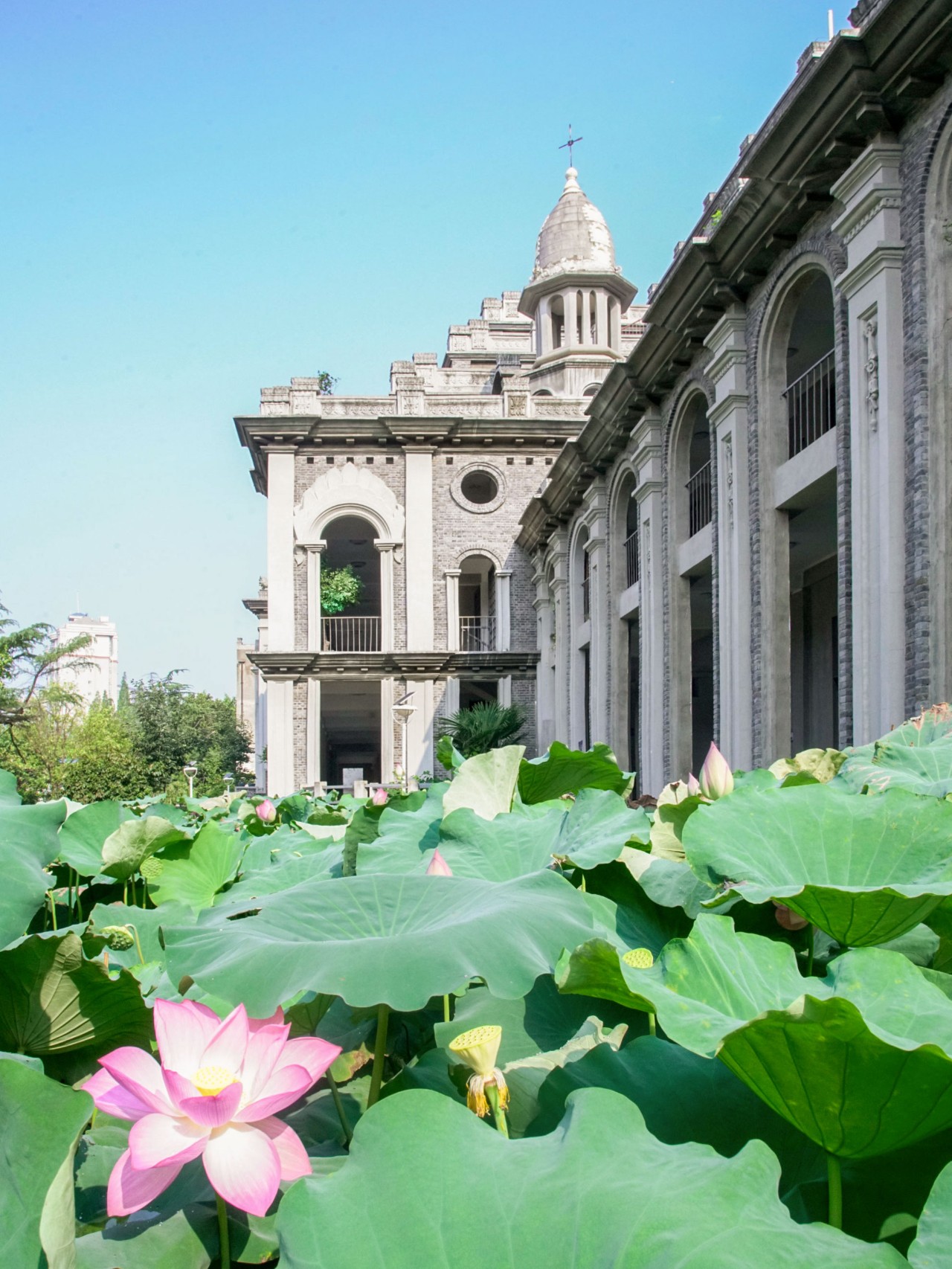 武漢鬧市的尼姑庵，全中國最美寺廟古德寺