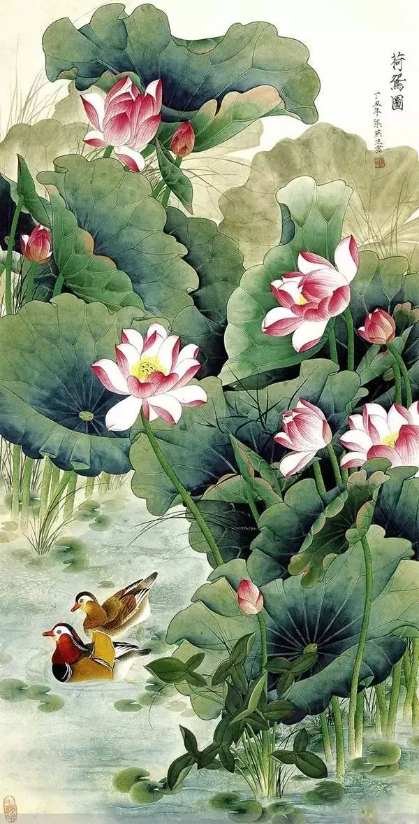 鴛鴦戲水圖集(18張)，好漂亮的國畫圖片